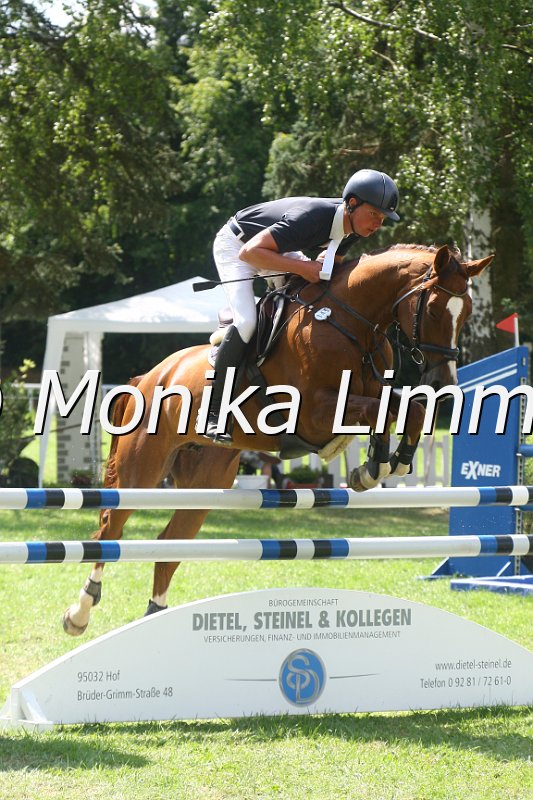 308M0209_Cuby Cuvidius_Springpferde_L.JPG